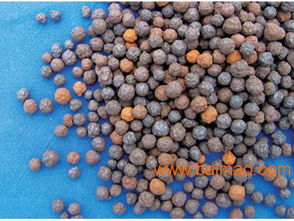 甘肅花卉陶粒與工程陶粒市場(chǎng)淺析